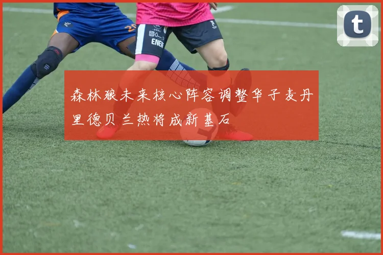 森林狼未来核心阵容调整华子麦丹里德贝兰热将成新基石